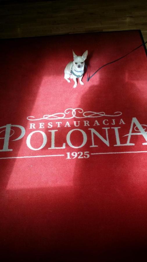 Hotelik Polonia Łowicz Екстериор снимка