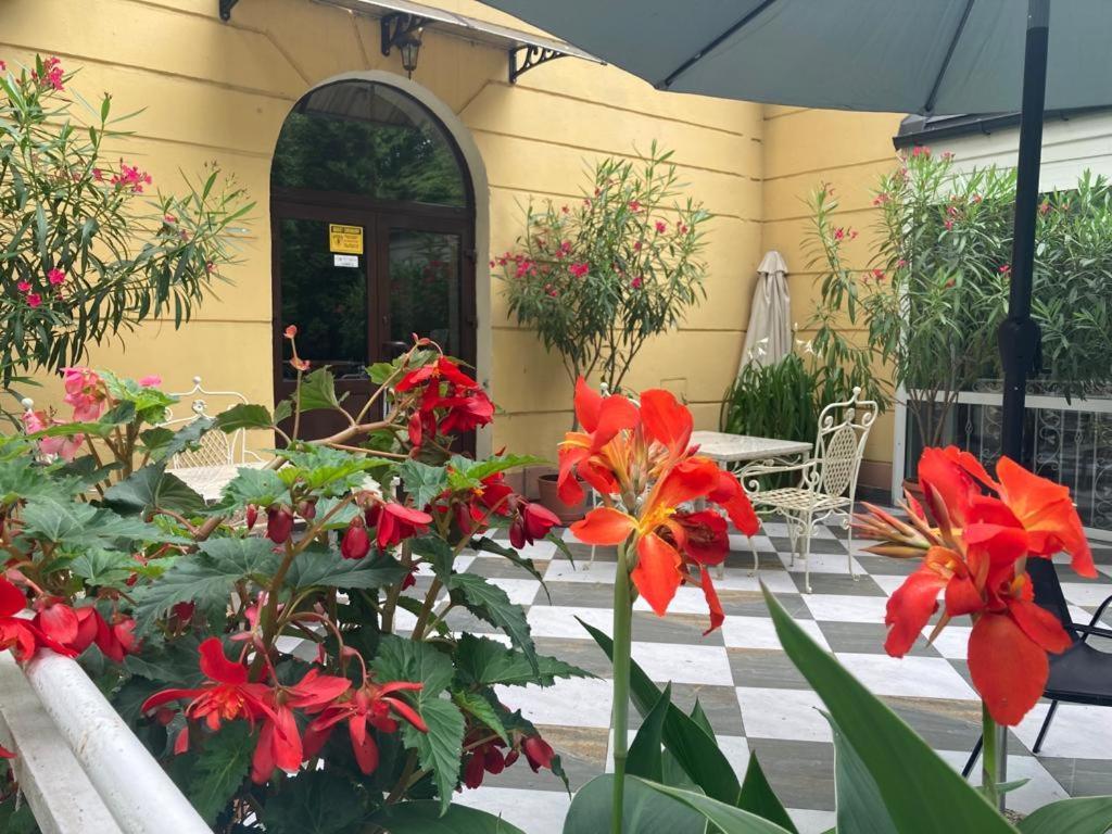 Hotelik Polonia Łowicz Екстериор снимка